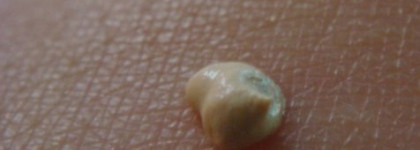 Lumene Beaty base Eyeshadow Primer