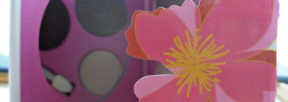 FFleur. «Fleur Valse Eyeshadow Kit». Компактно-кремовые тени новой линии "Mооn"