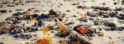 Скромный двоюродный брат «Dune» CD или аромат  "Sleza Yurate" (EDP) от Пьера Бурдона. Faberlic