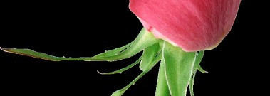 Faberlic. Сливочная губная помада «Grace» №4428