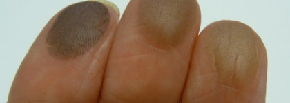 Набор для бровей от Gosh