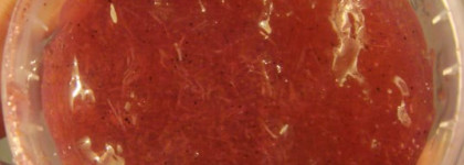 Маленькие радости