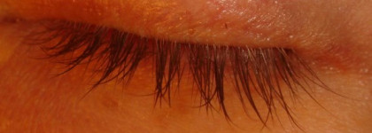 Две туши - одно разочарование