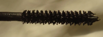 Две туши - одно разочарование