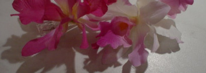 Отзыв о туши Gosh Mascara Duo Magique