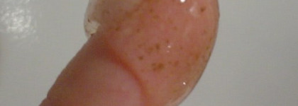 Отзыв о двух скрабах: Natura Siberica "Горячий соляной скраб" для тела Sauna&Spa и Гель-скраб для тела "Кукушкин лен и малина" от Рецепты бабушки Агафьи