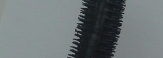 Отзыв о туши ArtDeco Curl & Style Mascara