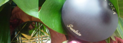 Два маст-хева этого лета: Diorskin Nude Tan - Nude Glow Sun Powder 004 и Guerlain Terra Ora Sculpting Powder Contrast Highlighter Face &decollete