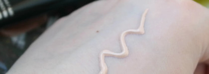 Kiko Milano – Daily Protection BB Cream SPF 30 (01 ivory)