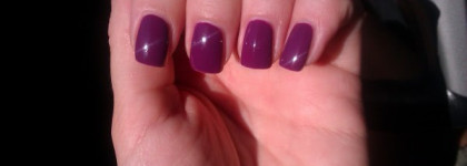 Golden Rose Fantastic 135