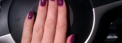 Golden Rose Fantastic 135