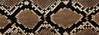 Как я встретила осень, или Diesel Fuel For Life For Her