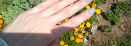 Illamasqua Raindrops: легенда во плоти или очередной серый лак в коллекции?