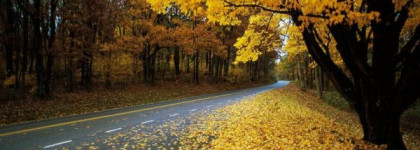 Мой осенний антидепрессант