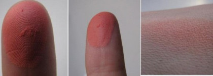 Chanel 2013 Весна: Chanel Joues Contraste Blush 76 Frivole