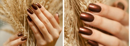 Aurelia Magnifique! Два таких разных шоколада