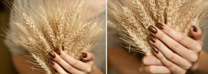 Aurelia Magnifique! Два таких разных шоколада