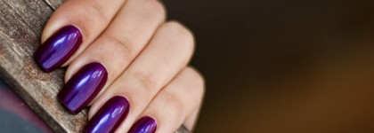 Aurelia Professional 406 Ежевичное Варенье