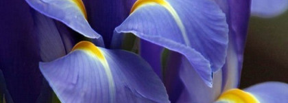 Мой осенний роман с Hermes Kelly Caleche