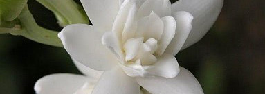 Мой осенний роман с Hermes Kelly Caleche