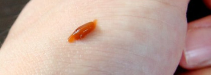 Guerlain terracotta bronzing brush - тонирующая эмульсия с кистью