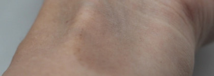 Dolce&Gabbana The Blush Luminous Cheek Colour #22 'Tan'