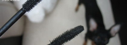 Chanel Inimitable Intense Mascara №10 Noir, мой взгляд