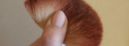 Мои бюджетные кисти от Irisk