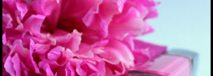 В цветах пиона