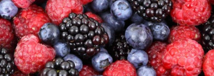 Ягодная вкусняшка - помада-блеск Artdeco Gourmet Gloss SPF 8 в оттенке 80 - Blackberry Mousse