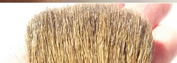 Зверье мое или к нам приехал корейский зоопарк