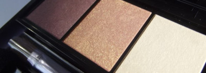 Shiseido Luminizing Satin Eye Color Trio RD 299 Beach Grass