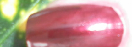 Час ожидания с Sally Hansen