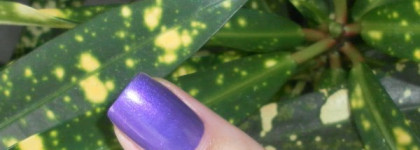 Час ожидания с Sally Hansen