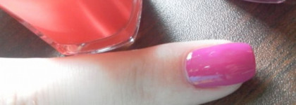 Белорусские краски