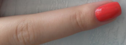 Белорусские краски