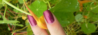 2 лака OPI - они разные и оба мои