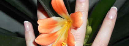 Маникюрчик поздно ночью