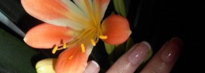 Маникюрчик поздно ночью