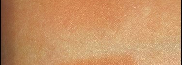Лицо, глаза и губы от Yves Saint Laurent: пудра Poudre Compacte Radiance #5 , тени Ombre Solo #8 Fawn, помада-блеск Gloss Volupté #7 Tangy Orange