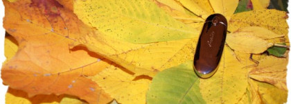 Guerlain прекрасная Rouge G De Guerlain №71 Girly   Exceptional Complete Lip Colour