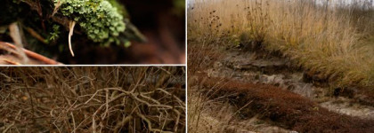 Demeter Fragrance Library - Dirt