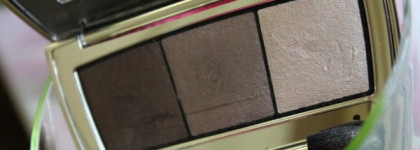 Be Yu Тени для век  Catwalk Star Trio  № 04 Natural Business Shades и любимая помада с блеском от Maybelline