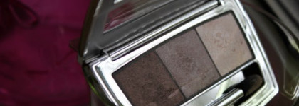 Be Yu Тени для век  Catwalk Star Trio  № 04 Natural Business Shades и любимая помада с блеском от Maybelline