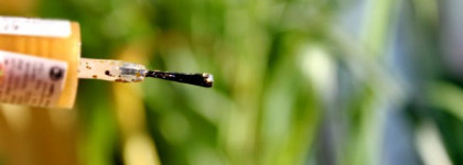 Лак Essence color&go quick drying nail polish №67  make it golden