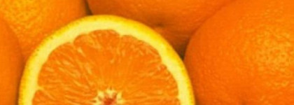 Eau du Soir Sisley аромат достойный королевы