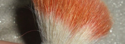 Как я собирала "с миру по нитке" свои кисти