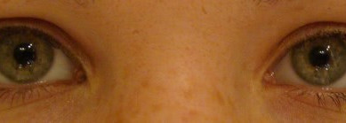 Бесконечно любимые тени BeYu и Make up Factory №8