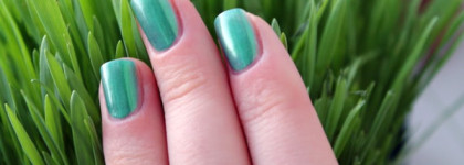 Зеленый Sally Hansen Hi-Definition Nail Color Vernis a ongles #13 Resolutions