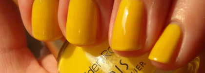 Моё разноцветное лето